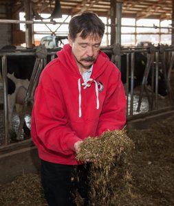Cow Talk with an Expert: Alternatives to Corn for Dairy Rations