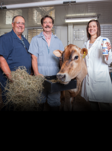 Three UW dairy science faculty receive awards
