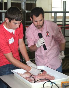 Agri-View Features UW Dairy Science Fall Visit Day