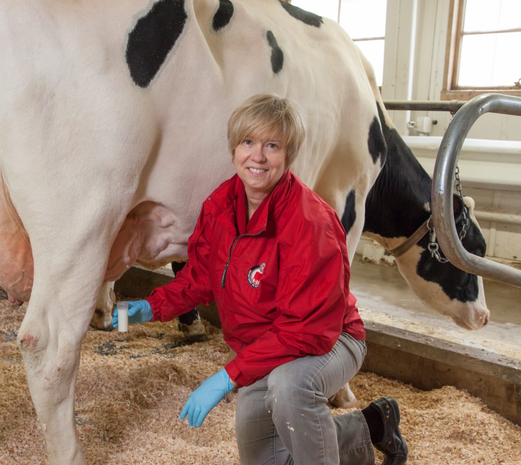 woman holding milk next to cow