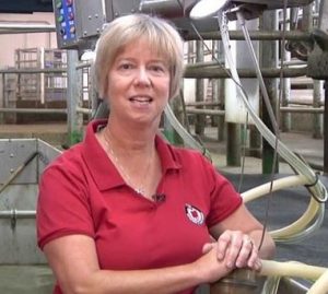 Managing Mastitis – The Pathogen Series: Mycoplasma species