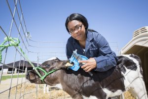 Graduate Student Profile: Kalyanna Williams