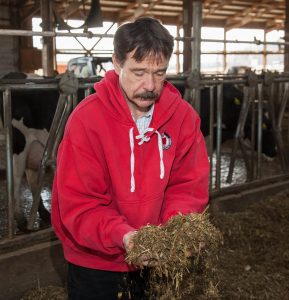Corn Silage: A three part video series with Randy Shaver