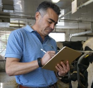 UW team’s “virtual dairy farm brain” aims to help farmers make smarter decisions