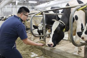 Featured Graduate Student: Fei Sun