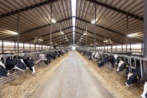 Dairy Innovation Hub included in final state budget