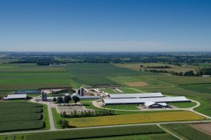 Apply by August 4 for a lead worker position at UW-Madison Arlington Blaine Dairy
