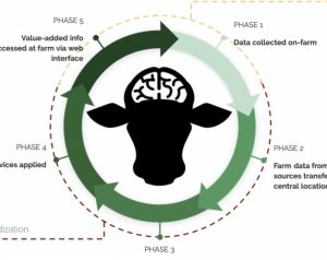 University of Wisconsin-Madison Dairy Brain project invites you to participate in a survey.