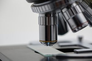 Steve Ricke Releases Podcast “Poultry’s big, bad bugs under the microscope”