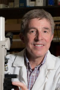 Grant awarded: Milo Wiltbank receives NIFA AFRI funding to study follicle development in cattle reproduction