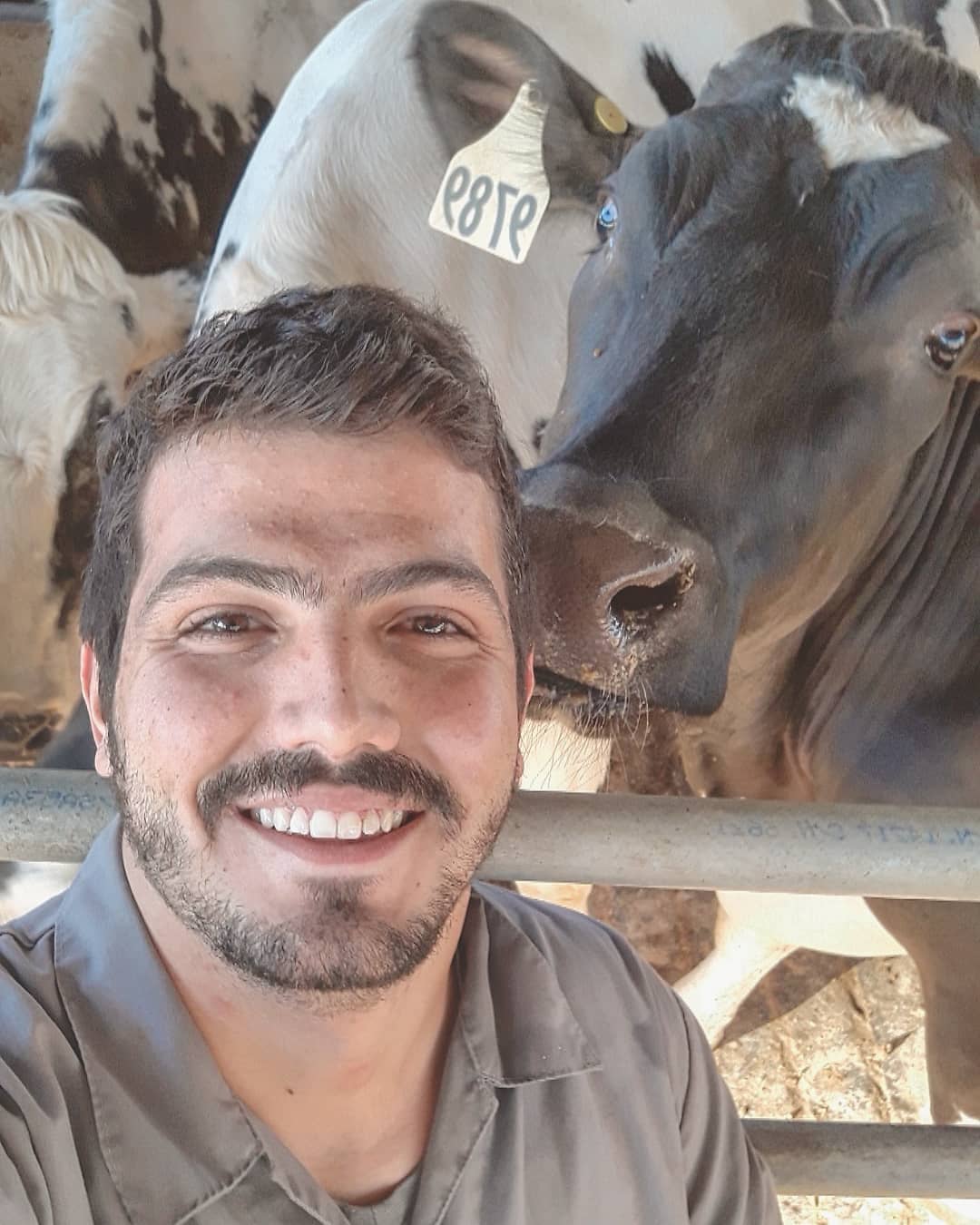 Iago Animal Dairy Sciences iago-animal-dairy-sciences