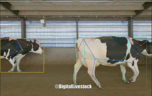 What affects the adoption of precision tech?
