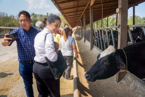 Envoys from CALS engage with dairy, crop industries in Thailand