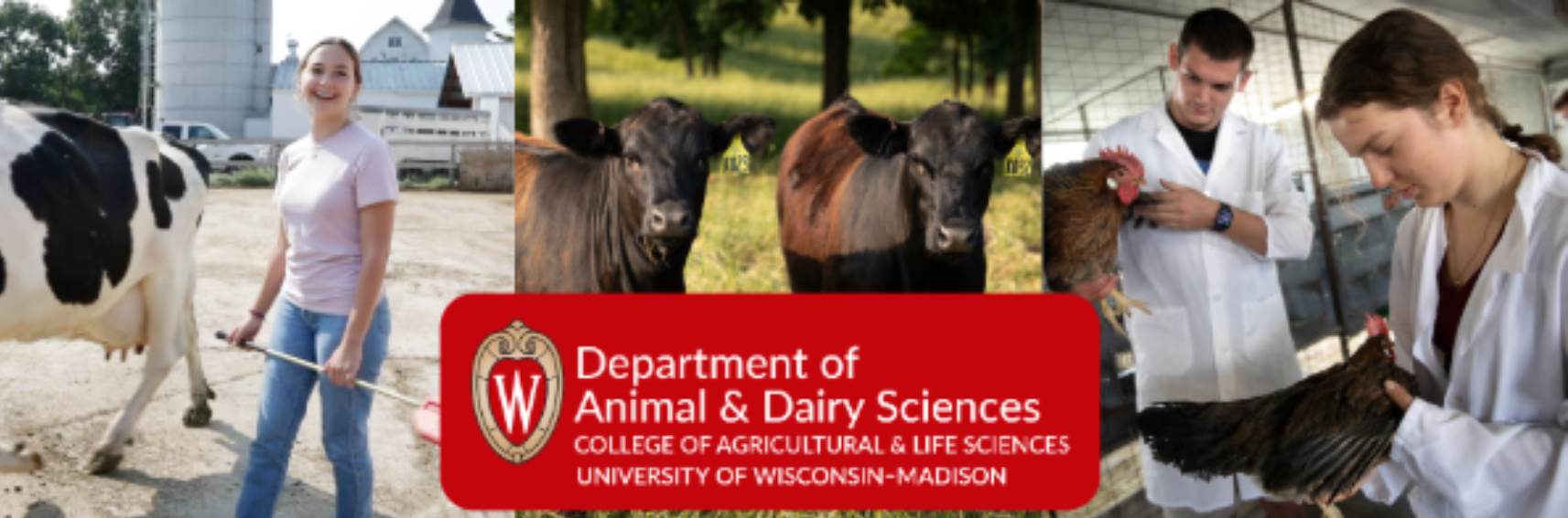ADS launches new major in dairy and food animal management