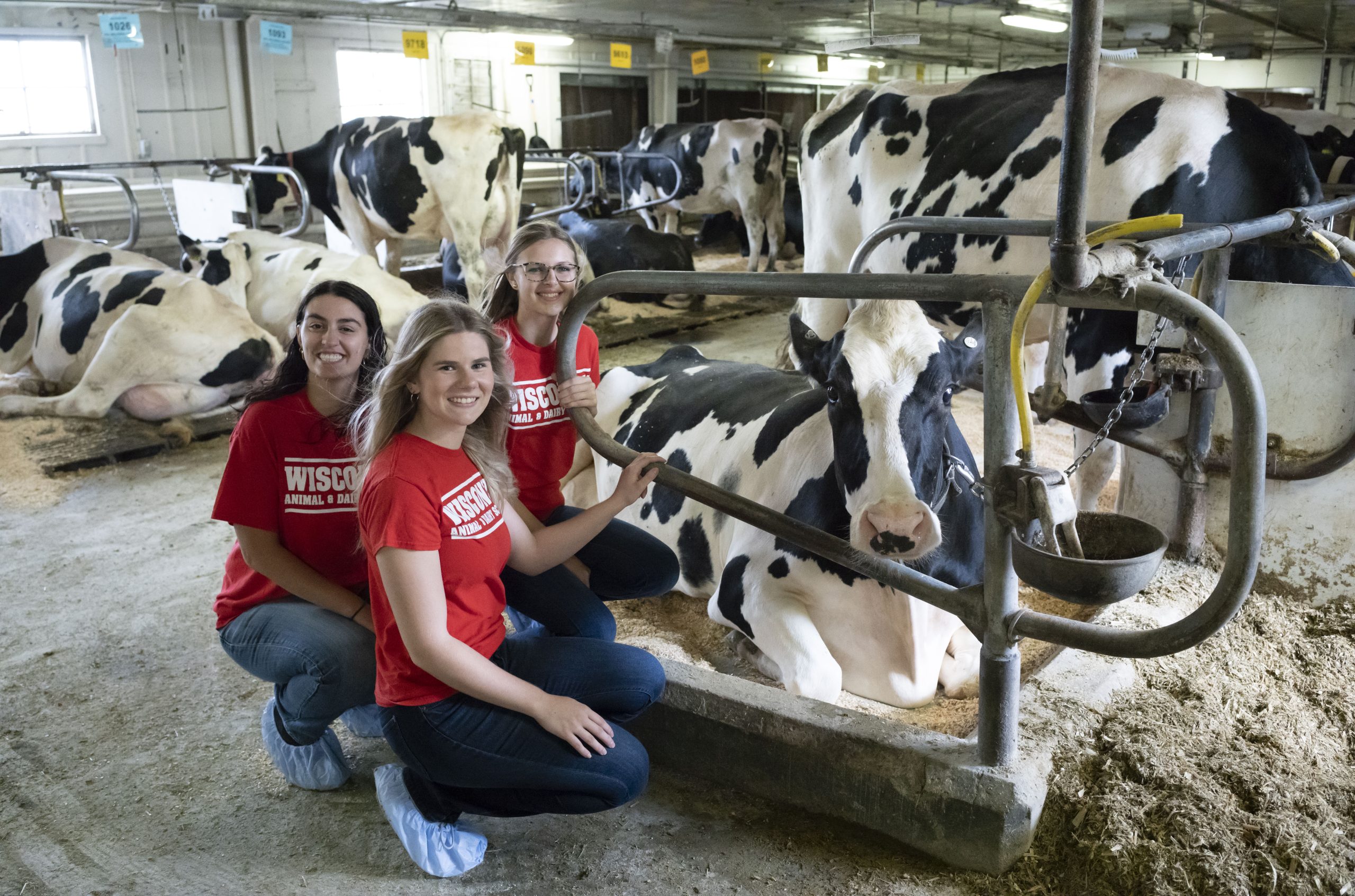 ADS launches new major in dairy and food animal management